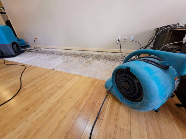 Professional Water Damage Repair technician working in Copeland, OK